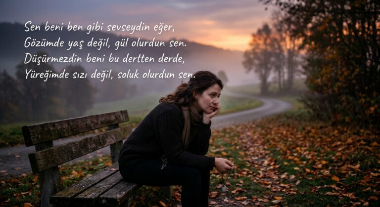 seni ben gibi sevseydin